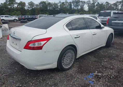 2010 Nissan Maxima 3.5 Sv z USA, uszkodzony, nr VIN 1N4AA5AP1AC811564